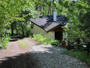 Casa grande con parrilla San Martin De Los Andes